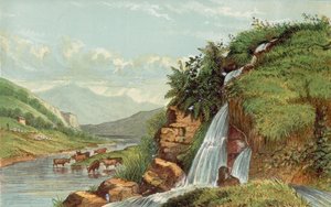 Wasserfall und Vieh