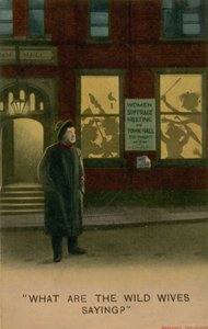 Hvad siger de vilde koner? af English School