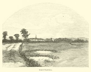 Whittlesea af English School