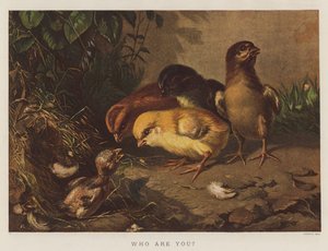 Hvem er du (chromolitho) af English School