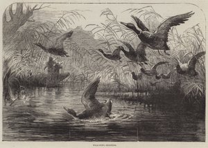 Wildvogeljagd (Gravur) von English School