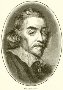 William Harvey af English School