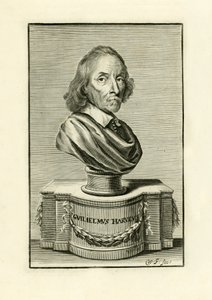William Harvey af English School