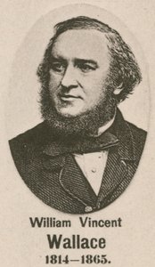 William Vincent Wallace (dybtryk) af English School