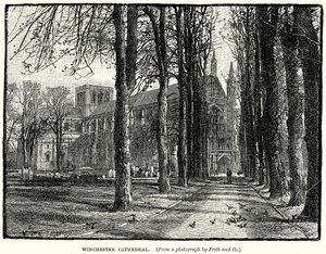 Winchester Cathedral (gravering) af English School