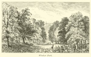 Windsor Park af English School