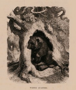 Winters Quarters (gravering) af English School