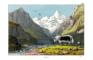 Yak af English School