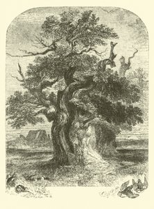 Yardley Oak af English School