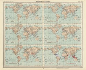Zoogeographie: Säugetiere, Cetacea, Sirenia