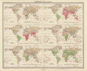Zoogeografi: Pattedyr, primater, chiroptérer (farvelitografi) af English School