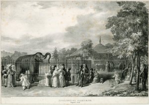 Zoologisk have, Regents Park af English School
