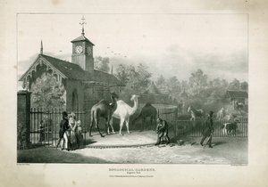 Zoologisk have, Regents Park af English School