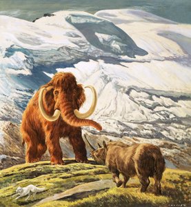 Mammut møder næsehorn (gouache på papir)