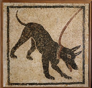 Cave Canem - pas på hunden, tærskelmosaik fra Pompeji af Erich Lessing