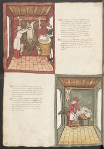 Helside: tekst og miniaturer: "Carne grande nostrana ingrasata" (miniature) af Erich Lessing