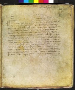 Helside: tekst til gul hornvalmue af Erich Lessing