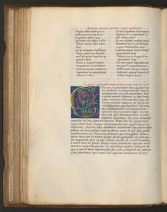 Helside: tekst med indledende 