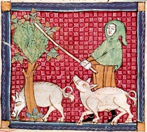 September: grise spiser agern. Miniature taget fra "Breviaire d