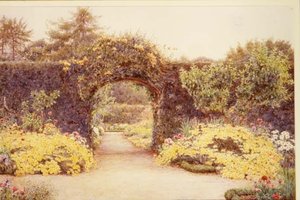 July Gold, Abbey Leix, Eire