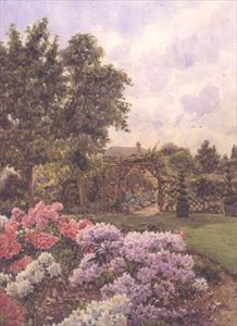 Rhododendron af Ernest Arthur Rowe