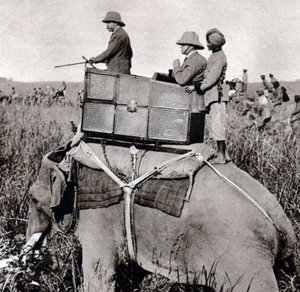 George V 1911 på jagt i Nepal (1911)