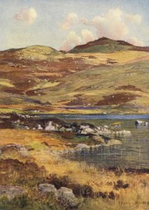 Loch Skae (farvelitografi)