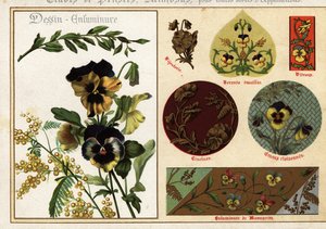 Billeder af stedmoderblomster og mimoser fra manuskripter og deres anvendelse af Ernest Guillot