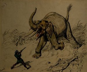 Elephant Shoot (pen & blæk, akvarel på papir) af Ernest Henry Griset