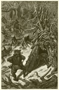Ræven og Landsmanden