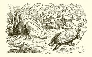 Haren og Skildpadden