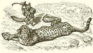 Leoparden og ræven