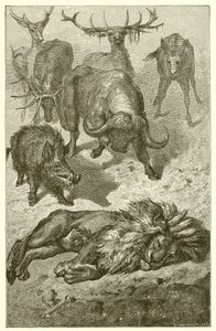 Den gamle Løve