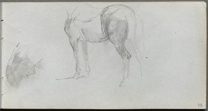 Skitsebog, side 73: Studie af en hest, profil af Ernest Meissonier