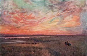 The Campo (farve litho)