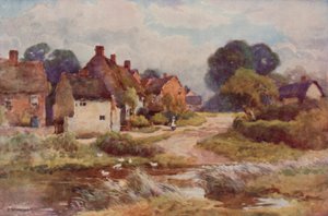 "Beggarly Broom" (farve litho) af Ernest William Haslehust