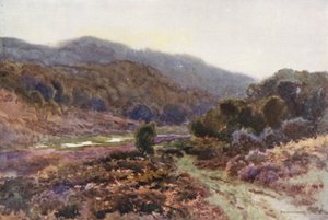 Af Broomy Water (farve litho) af Ernest William Haslehust