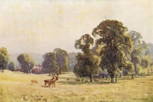 Cobham Park (farve litho) af Ernest William Haslehust