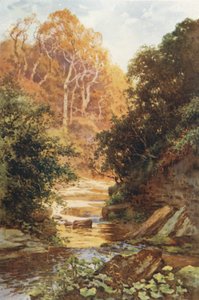 Hayburn Wyke (farve litho) af Ernest William Haslehust