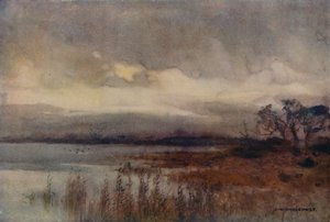 Hickling Broad (farve litho) af Ernest William Haslehust