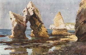 I Freshwater Bay (farve litho) af Ernest William Haslehust