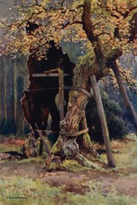 Robin Hoods spisekammer (farve litho)