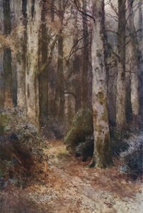 "Katedralen" (farve litho)