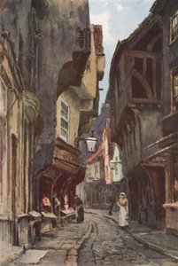 The Shambles (farve litho) af Ernest William Haslehust