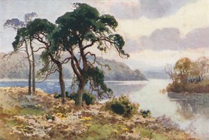 Virginia Water (farve litho) af Ernest William Haslehust