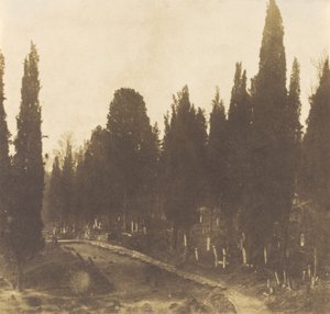 Tyrkiet: Kirkegården i Scutari, 1852 (foto) af Ernest de Caranza