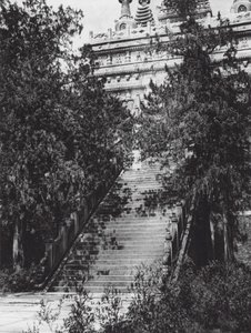 Peking, Si shan, Pi yun sze, Chihli, vestlige bakker nær Peking, trappetrin til marmorpagoden (s/h-foto) af Ernst Boerschmann