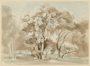 Trægruppe i parken ved Villa Borghese i Rom af Ernst Fries