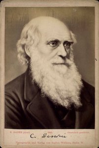 Charles Darwin, britisk naturforsker, c1860