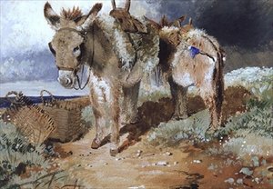 Æsler, 1855